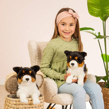 Teddy Hermann - Tricolor Border Collie sitting 30cm