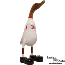 Ulster Lucky Duck