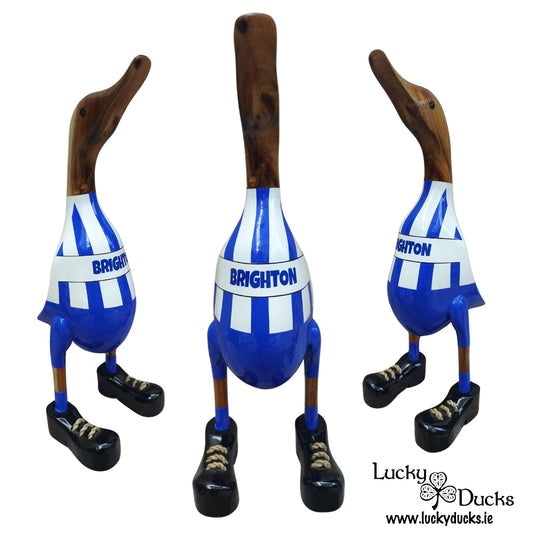 Brighton Lucky Duck