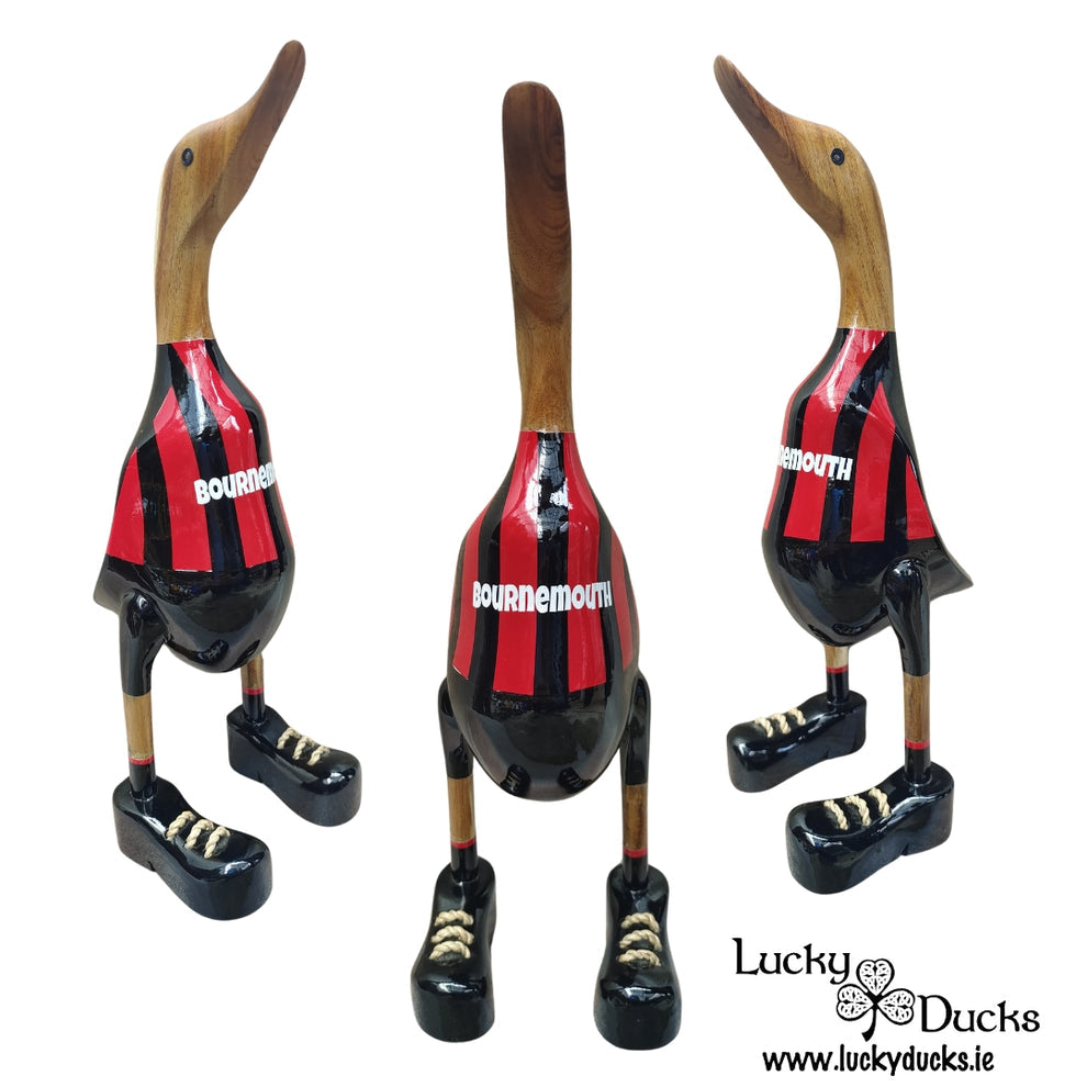 Bournemouth Luck Duck