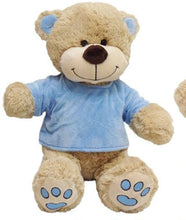 Medium Velour T-shirt Teddy Bear BB34M