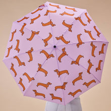 Original Duckhead - Coucou Suzette Collab - Compact Umbrella