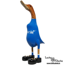 Leinster Lucky Duck