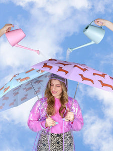 Original Duckhead - Coucou Suzette Collab - Compact Umbrella