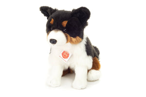 Teddy Hermann - Tricolor Border Collie sitting 30cm