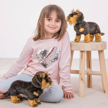 Teddy Hermann - Wire-haired dachshund standing 28 cm