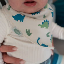 FUN2059  Dino & Stars Bib Set