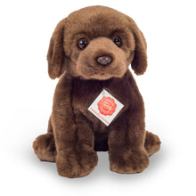 Teddy Hermann - Labrador sitting dark brown 25 cm