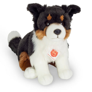 Teddy Hermann - Tricolor Border Collie sitting 30cm
