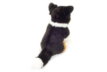 Teddy Hermann - Tricolor Border Collie sitting 30cm