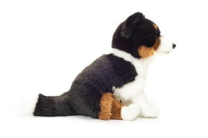 Teddy Hermann - Tricolor Border Collie sitting 30cm