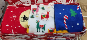 Thomas's Socks Christmas Pack