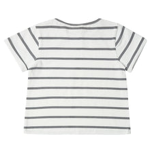 Grey Stripe Summer T-Shirt