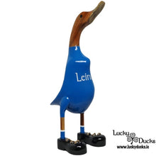 Leinster Lucky Duck