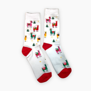Thomas's Socks Christmas Pack